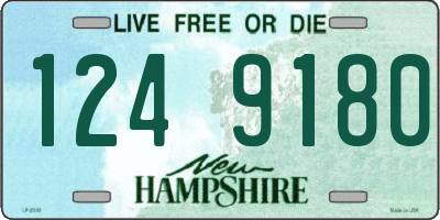 NH license plate 1249180