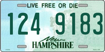 NH license plate 1249183