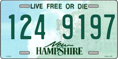 NH license plate 1249197