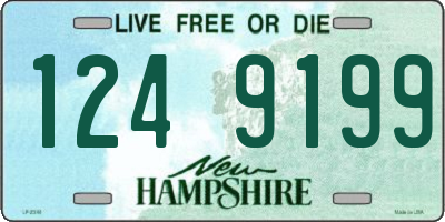 NH license plate 1249199
