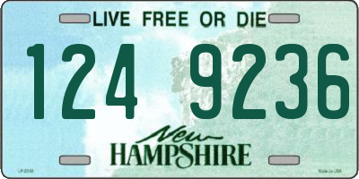 NH license plate 1249236