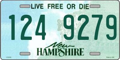 NH license plate 1249279