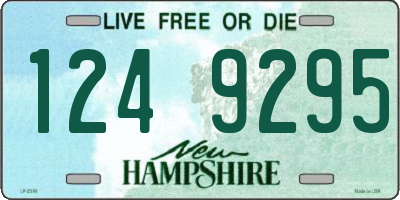 NH license plate 1249295