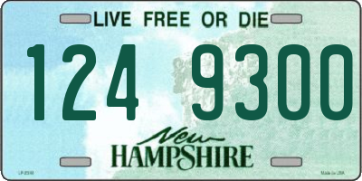 NH license plate 1249300