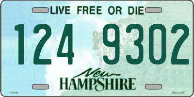 NH license plate 1249302