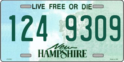NH license plate 1249309