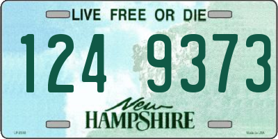 NH license plate 1249373
