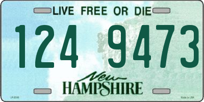 NH license plate 1249473