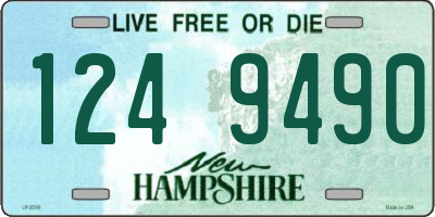 NH license plate 1249490