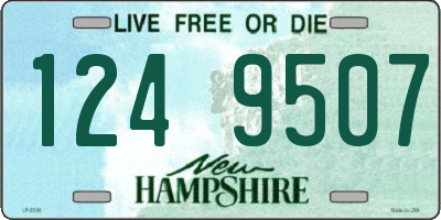 NH license plate 1249507