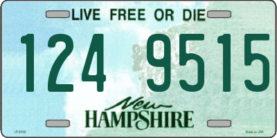 NH license plate 1249515