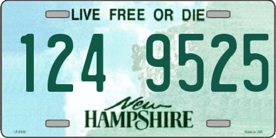 NH license plate 1249525