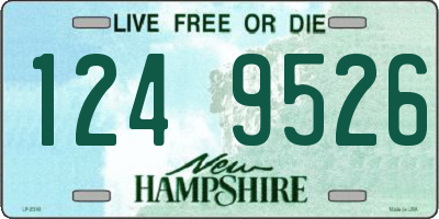 NH license plate 1249526