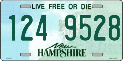 NH license plate 1249528