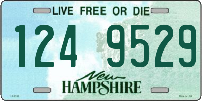 NH license plate 1249529