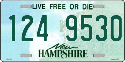 NH license plate 1249530