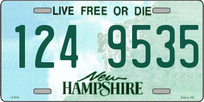 NH license plate 1249535