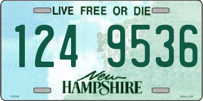 NH license plate 1249536