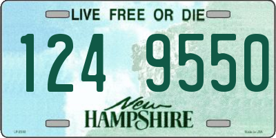 NH license plate 1249550