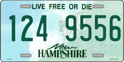 NH license plate 1249556