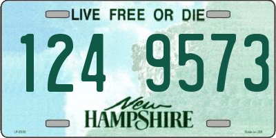 NH license plate 1249573