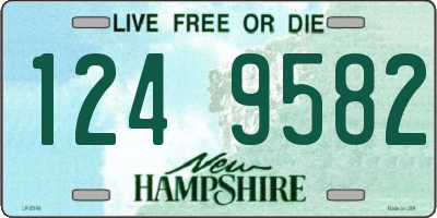 NH license plate 1249582