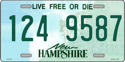 NH license plate 1249587