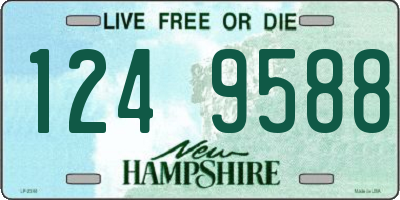 NH license plate 1249588