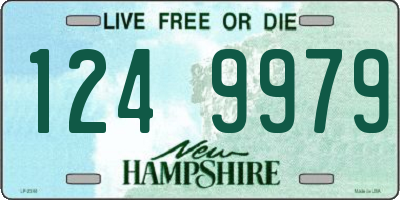 NH license plate 1249979