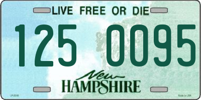 NH license plate 1250095
