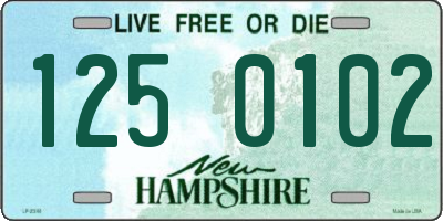 NH license plate 1250102