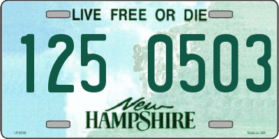 NH license plate 1250503