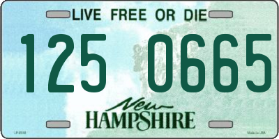 NH license plate 1250665