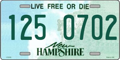 NH license plate 1250702