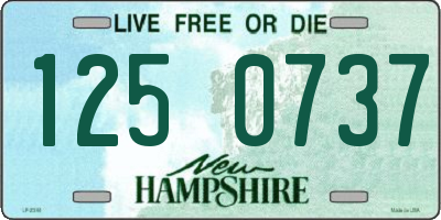 NH license plate 1250737