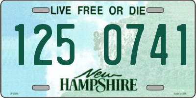 NH license plate 1250741
