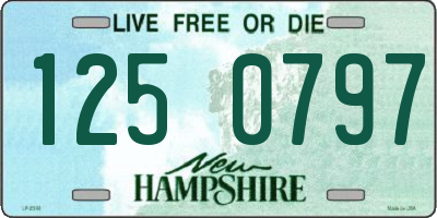 NH license plate 1250797