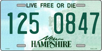 NH license plate 1250847