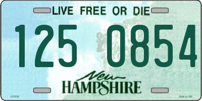 NH license plate 1250854
