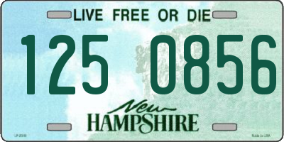 NH license plate 1250856