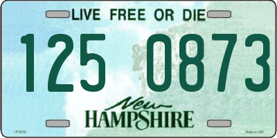 NH license plate 1250873