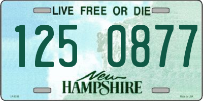 NH license plate 1250877