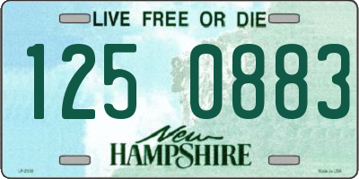 NH license plate 1250883