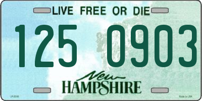 NH license plate 1250903