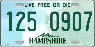 NH license plate 1250907