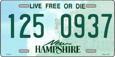 NH license plate 1250937