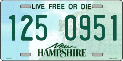 NH license plate 1250951