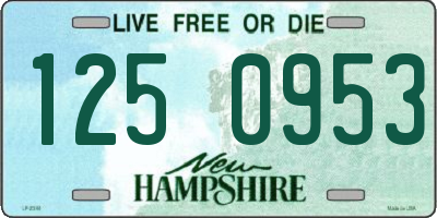 NH license plate 1250953