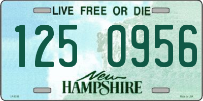 NH license plate 1250956