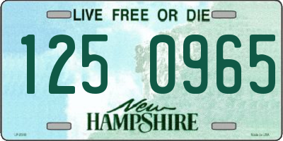 NH license plate 1250965